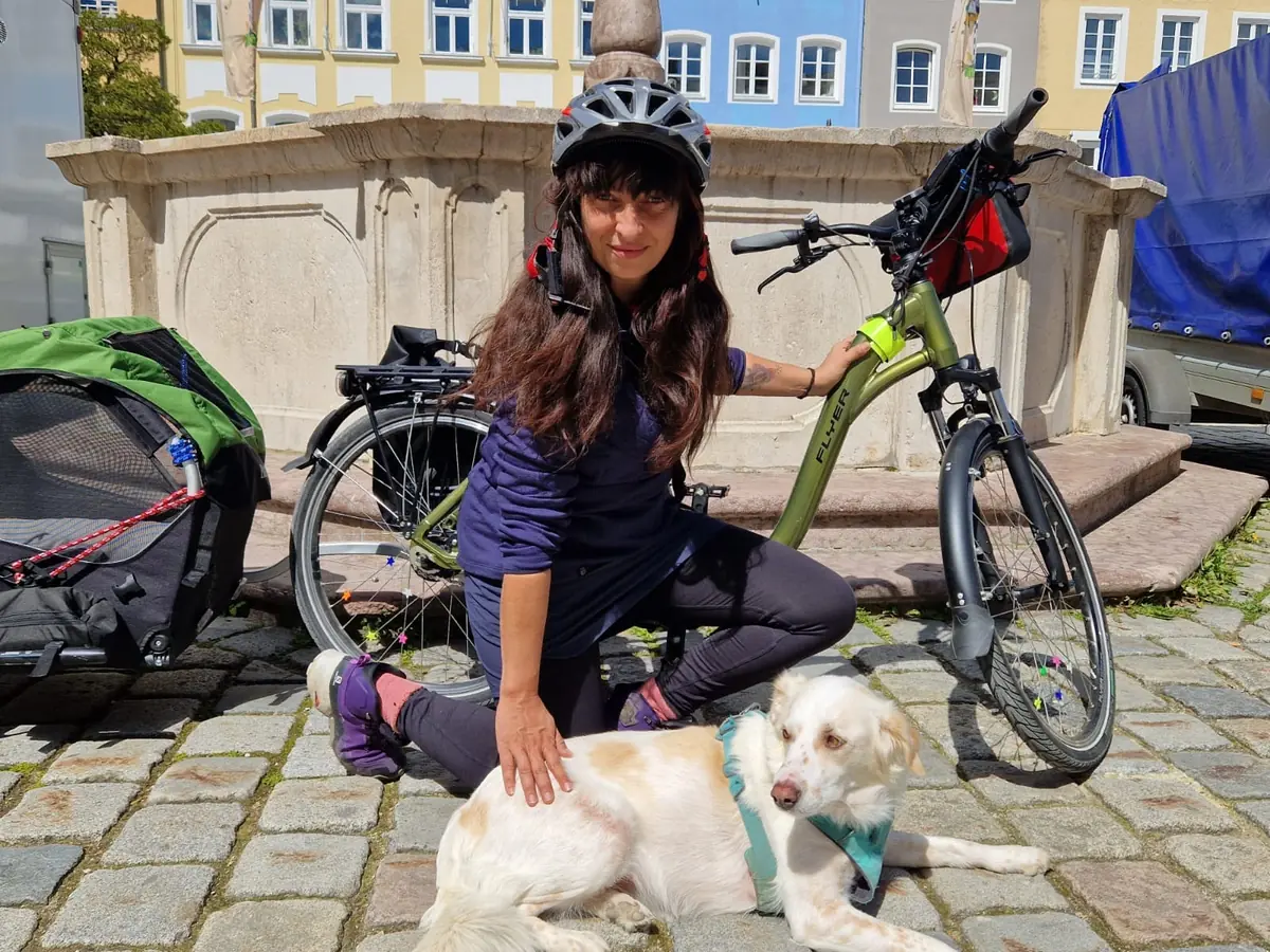 Fahrradhänger mit Hund